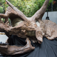 Image for article titled Ancient Bones and Millionaires: Dinosaurs For Sale in Manhattan